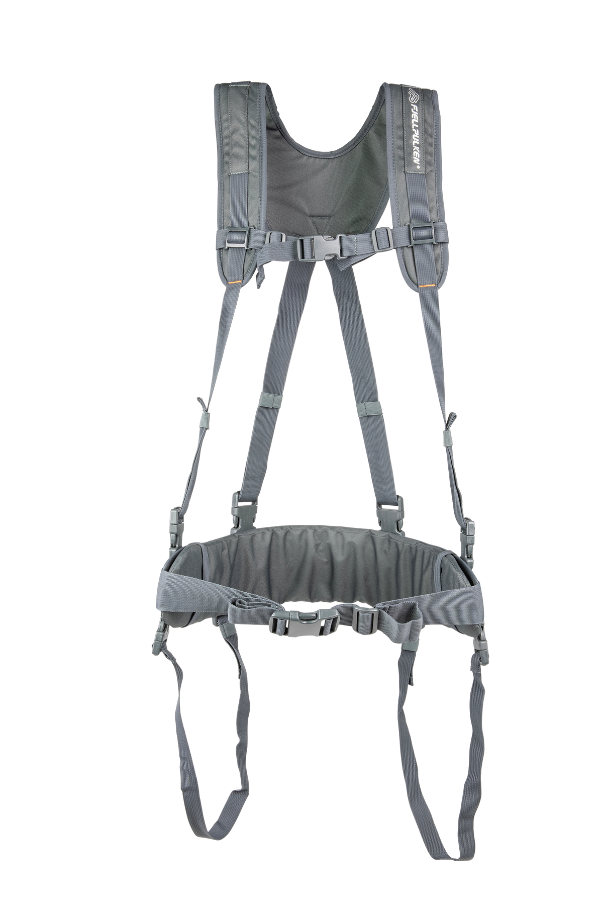 Harness - Arctic Spine kit hire (representative image)